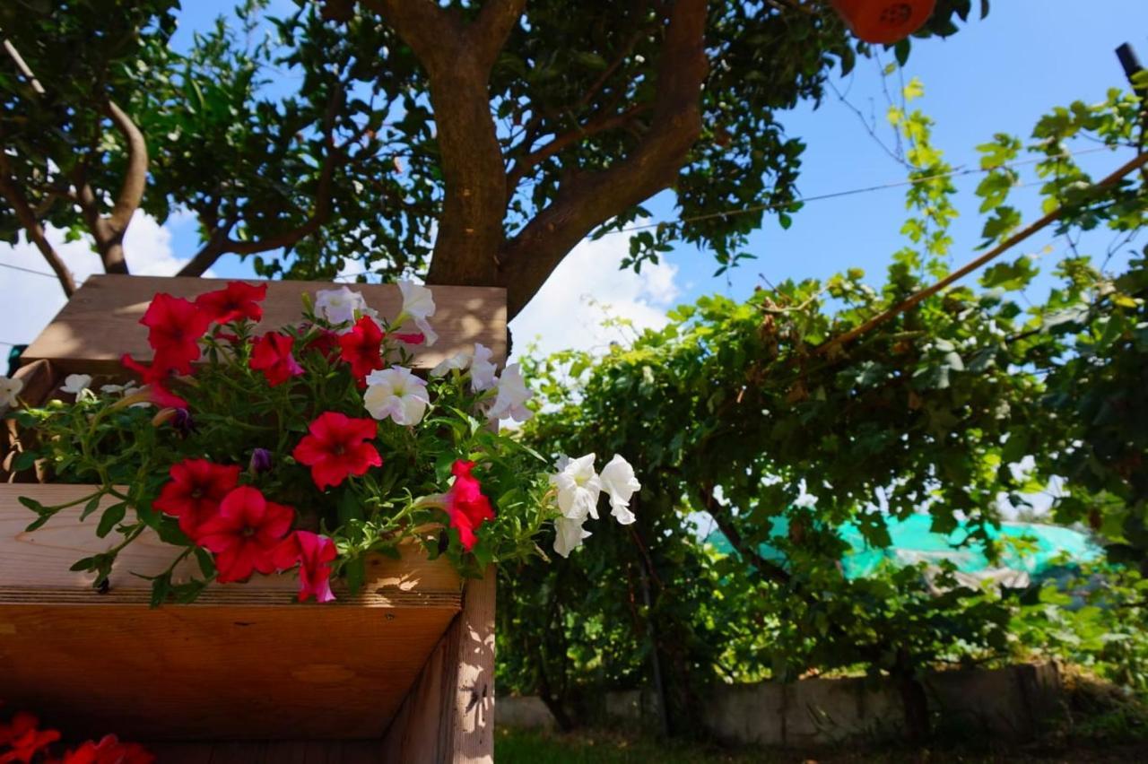 B&B Villa Del Sole Gizzeria Exterior photo