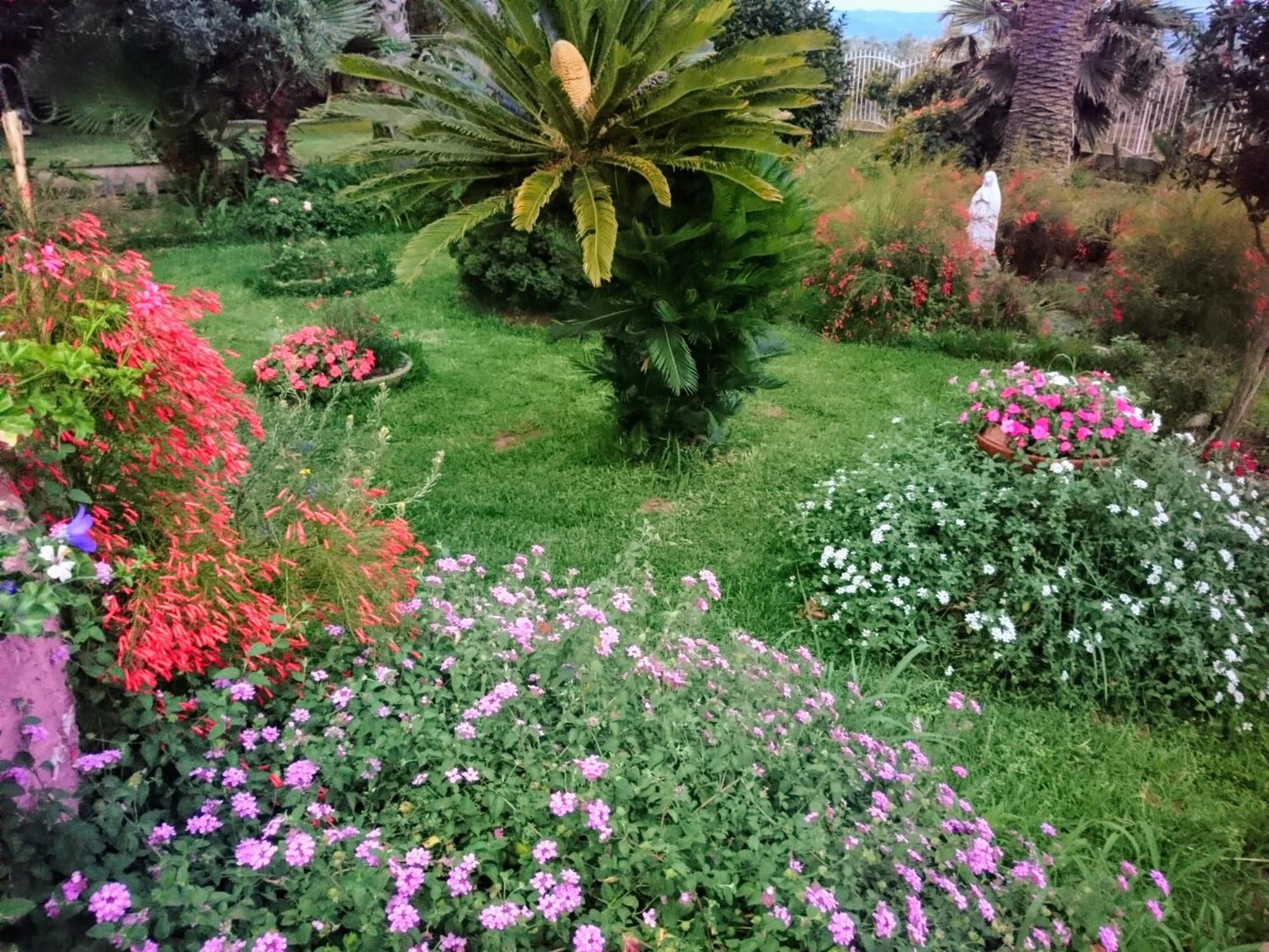 B&B Villa Del Sole Gizzeria Exterior photo